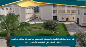شروط وإجراءات القبول بالمدينة الجامعية بجامعة الإسكندرية لعام 2025.. تعرف على خطوات التسجيل الآن